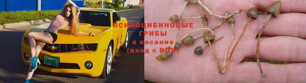 меф Арсеньев