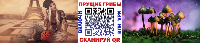 закладка  Краснообск  дарк нет телеграм  Галлюциногенные грибы мицелий 